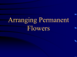 Arranging Permanent Flowers
