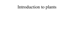 Plant Biology: introduction to the module