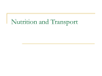 Nutrition and Transport - Woodstown