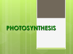 Photosynthesis - Teachers TryScience
