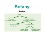 Botany - Ursuline High School