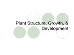 Plant Reproduction & Development