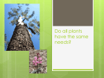 Native vs. Introduced Plants