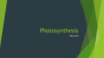 Photosynthesis - Aspen View Academy