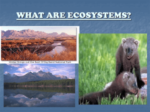 WHAT ARE ECOSYSTEMS?