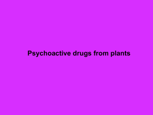 Psychoactive drugs from plants