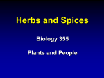 Herbs and Spices - Iowa State University