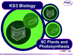 9C Plants and Photosynthesis
