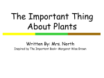 The Important Thing About Plants Power Point Big Book