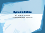 Cycles in Nature
