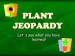 Plant Jeopardy - DC