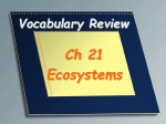 Ecosystems Vocabulary PPT