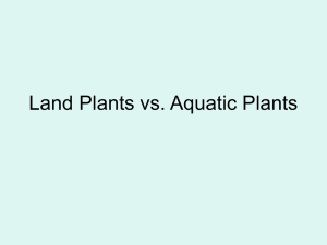 Land Plants vs. Aquatic Plants