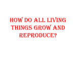 How do all living things grow and reproduce?