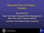 View the tour as a 2Mb PowerPoint program