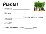 Plants-NOTES
