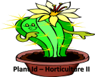 Hort II 6.0 Plant ID