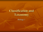 Classification and Taxonomy - Lamar County School District
