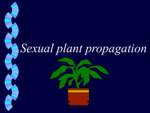 Sexual plant propagation