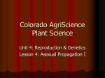 Powerpoint - Colorado FFA