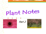 Three Types of Plants