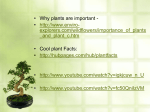 Plants… - lperleybiology112