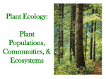 CB098-008.36_Plant_Ecology_A