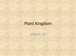 Bio13 Plant Kingdom