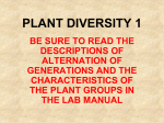 BIO120 LAB--PLANT DIVERSITY 1-