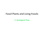 Fossil Plants and Living Fossils