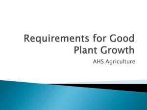 Requirements for Good Plant Growth