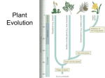 Plant Evolution - Cloudfront.net