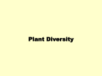 PLANT TAXONOMY