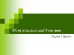 Plant Structure and Functions