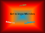 Get to know Microbes