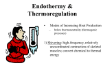 Excretion &Water Balance