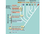 Diagrams to Review C26