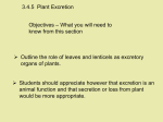 3.4.5 Plant Excretion - LC Biology 2012-2013