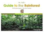 What are Rainforests? - inquiringmindsinyear8