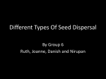 Different Types Of Seed Dispersal