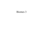 biomes3