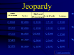 Jeopardy - Onlinehome.us