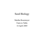 Seed Biology