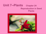Unit 7--Plants - DigitalWebb.com