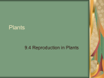 Plants - HRSBSTAFF Home Page