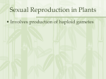 Asexual Reproduction in Plants