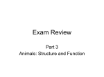 Exam Review - GordonOCDSB