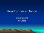Roadrunner`s Dance