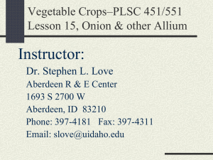 Vegetable Crops – Lesson 2