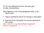 Bio426Lecture22Mar27 - NAU jan.ucc.nau.edu web server